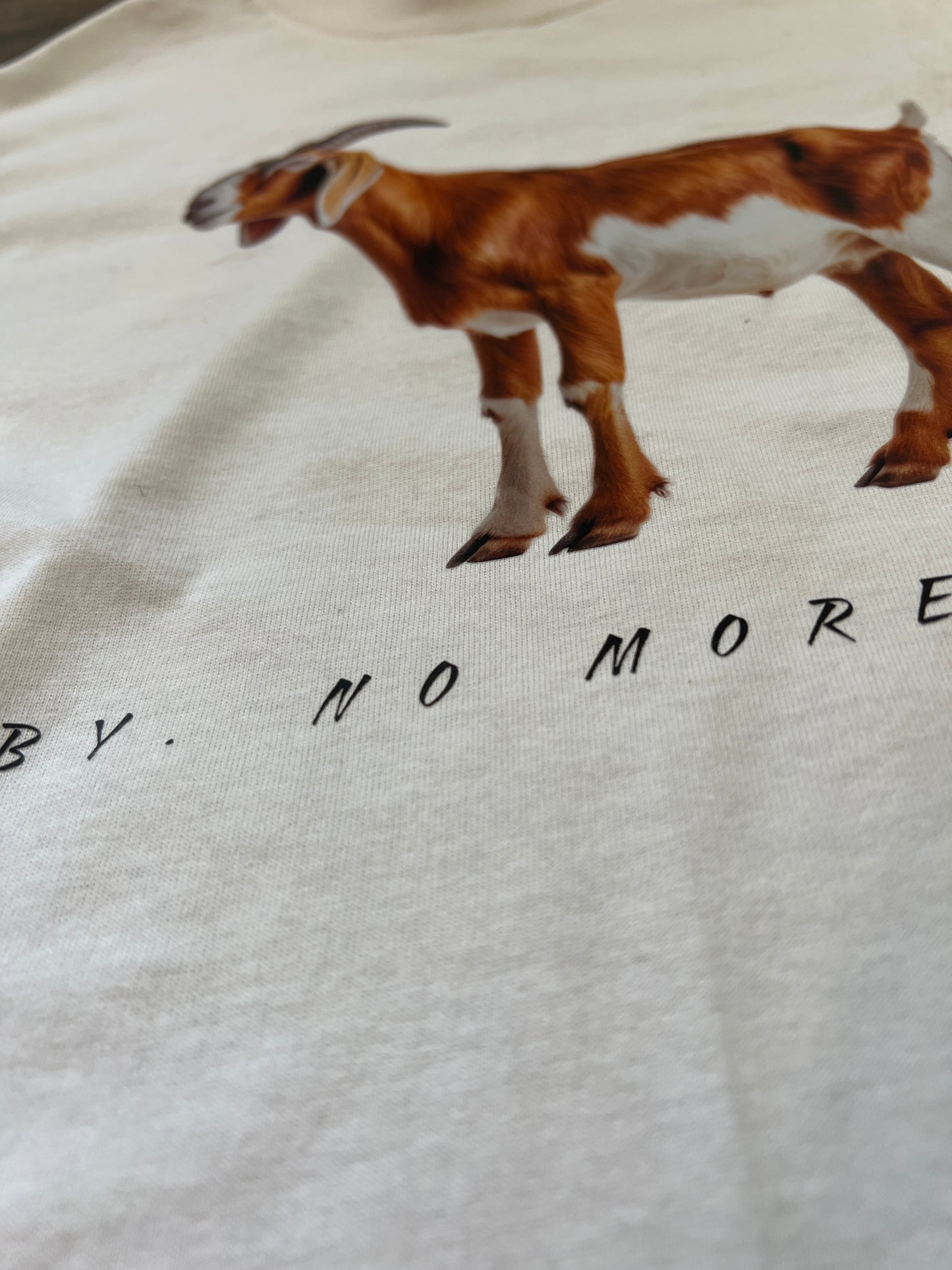 Long Sleeve “🐐” Tee